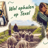 Die erste Texeler Wolle dieses Jahres ist da