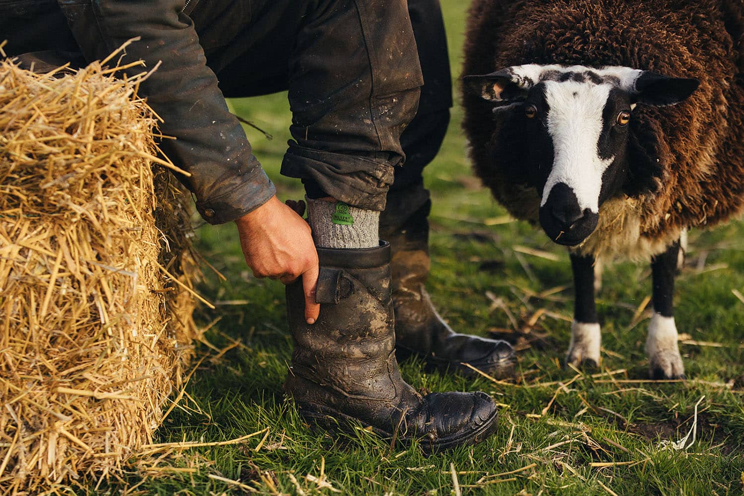 Wollen sokken van Texel – warm, duurzaam en natuurlijk