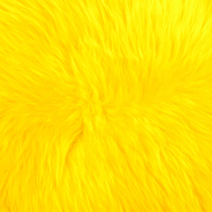Neon, bright yellow sheepskin