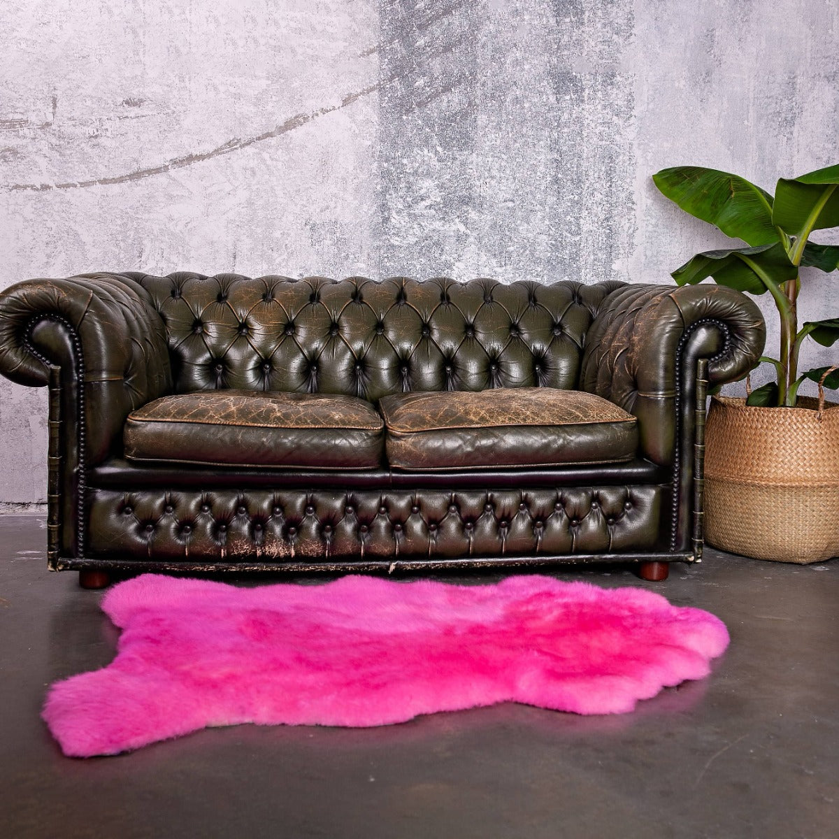 Texelse schapenvacht donker roze