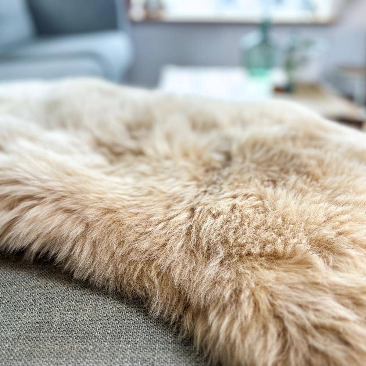 Light beige sheepskin - Texel Skeepe