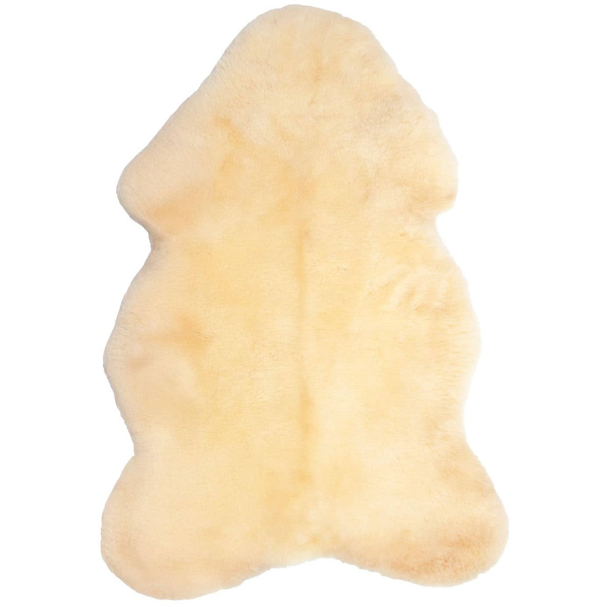 grootste Texelse medicinale schapenvacht