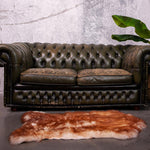 Texelse schapenvacht moeflon