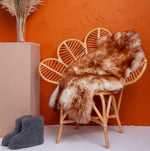 Texelse schapenvacht moeflon