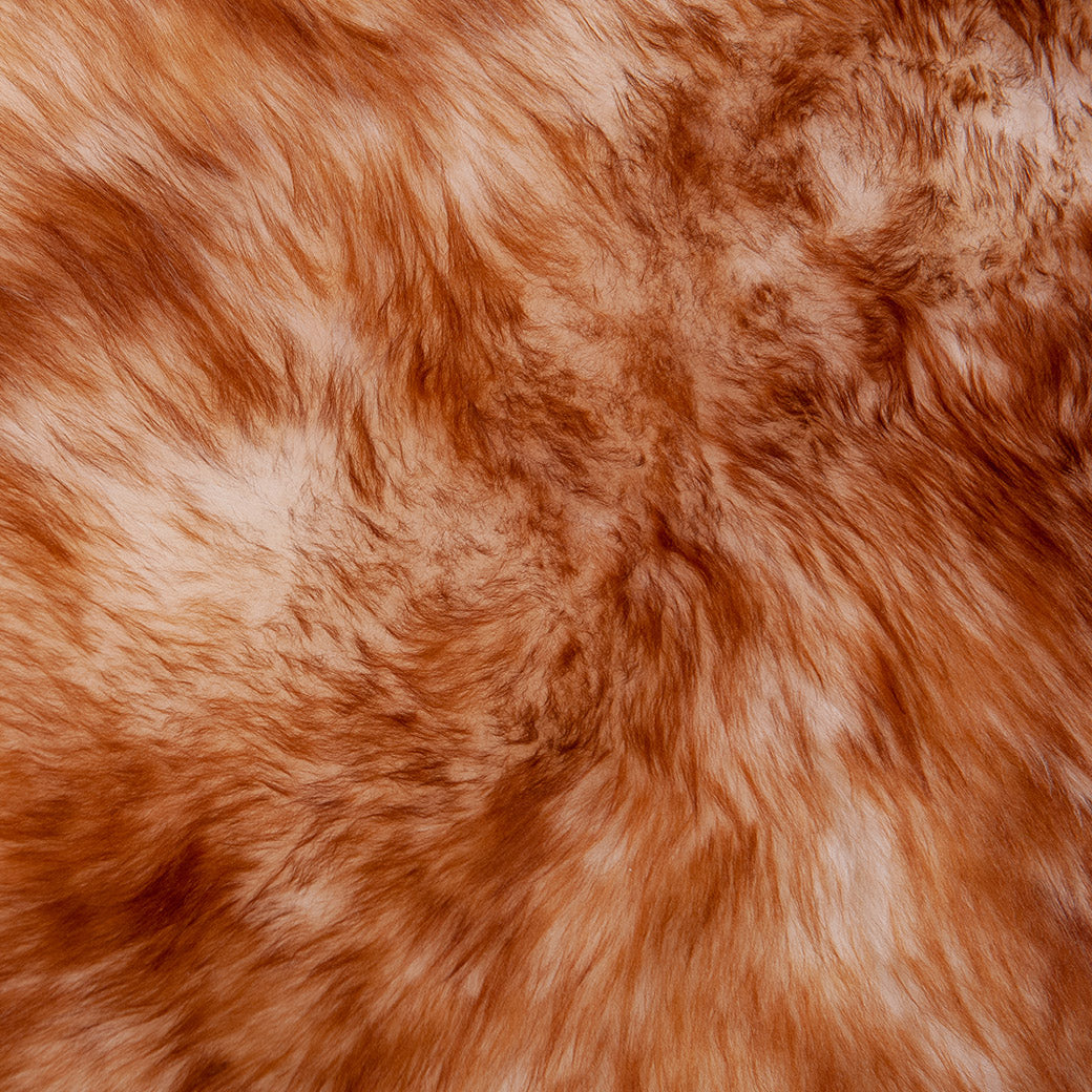 Texelse schapenvacht moeflon