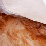 Texelse schapenvacht moeflon