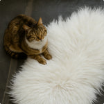 Sheepskin for dogs or cats