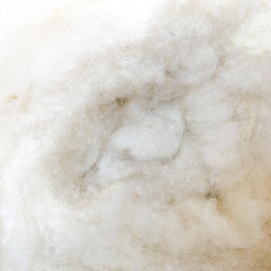 carded wool for felting - Texel carded fleece