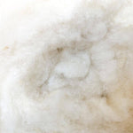 Texel carded wool - carded fleece - 500gr.