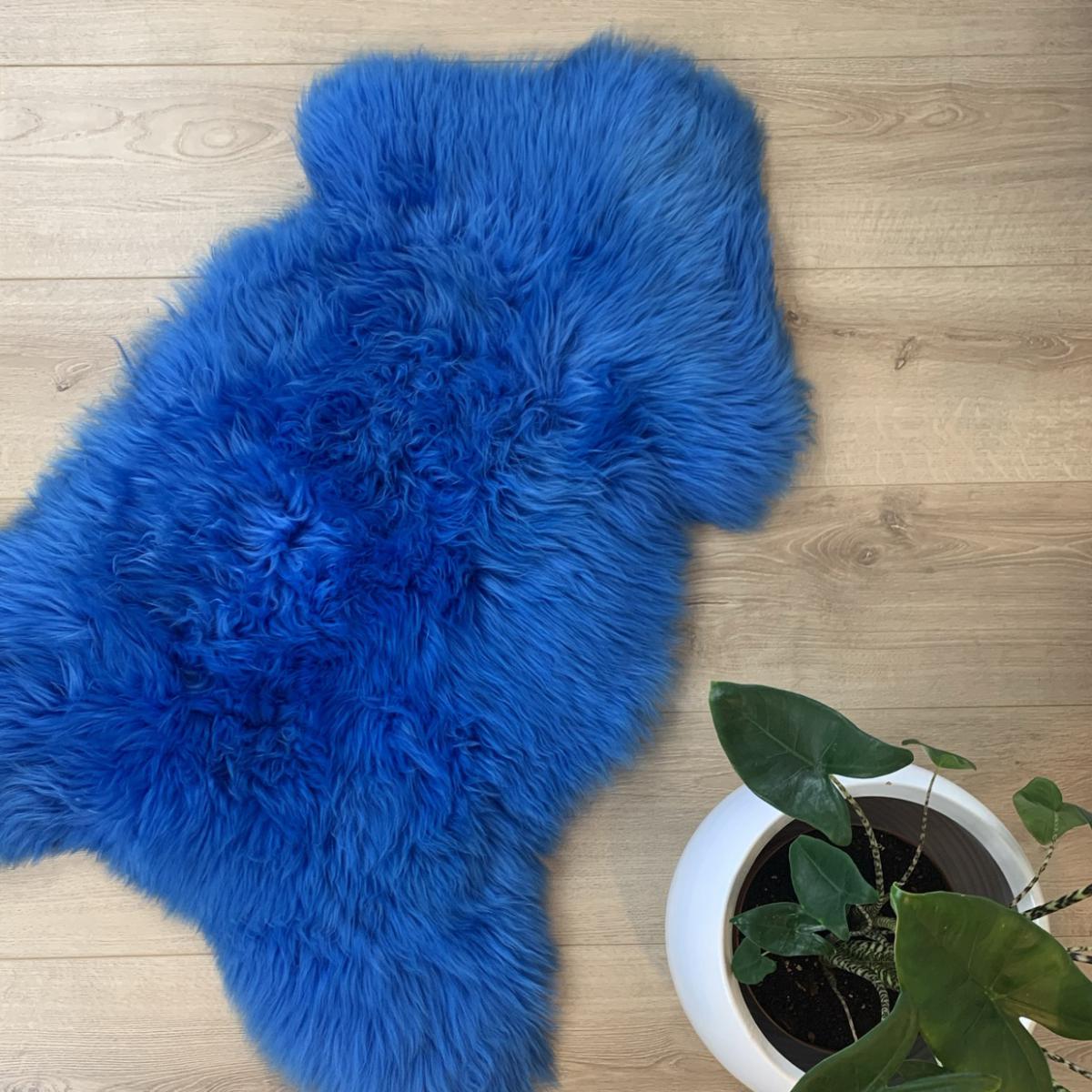 Texel schapenvachten blauw