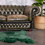 Schapenvachten van Texel donker groen