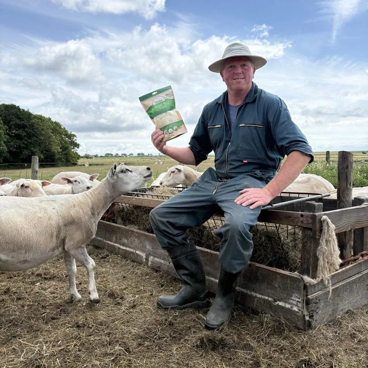 wandelwol texelse boer