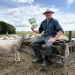 wandelwol texelse boer