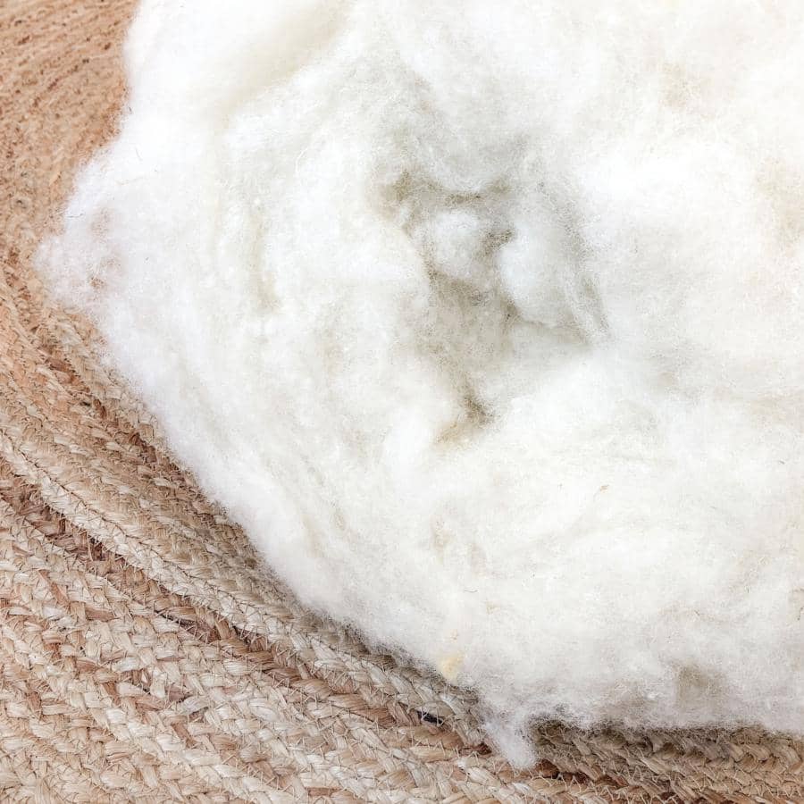 carded wool - Texel carded fleece sheep's wool - Texel