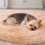 Schafsfell für Hunde oder Katzen