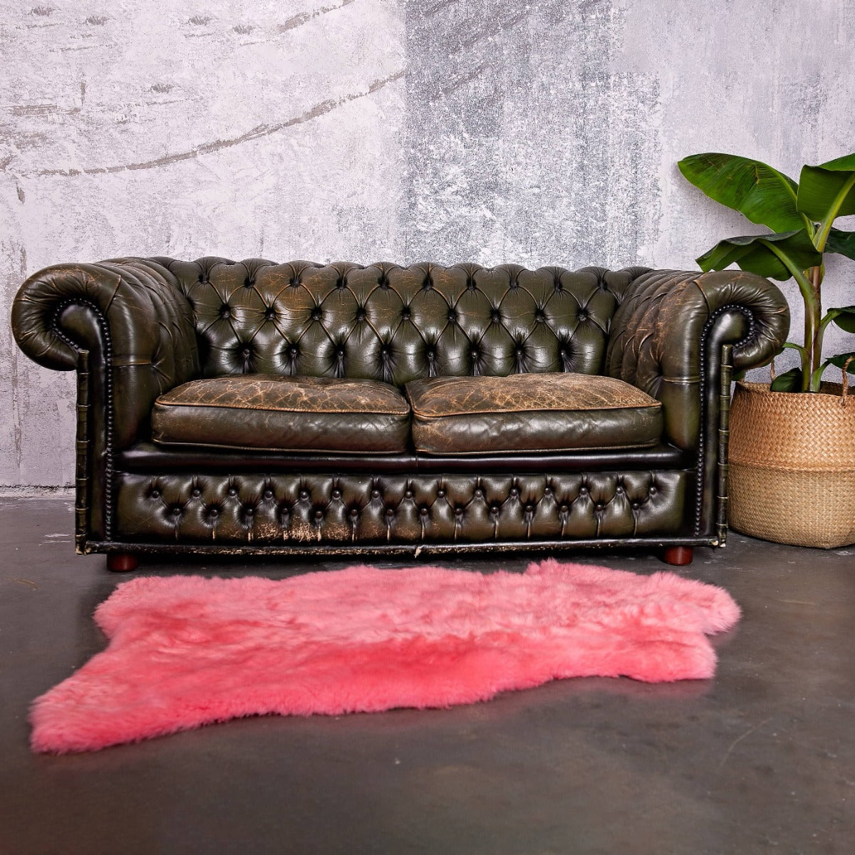 Texelse Schapenvacht roze 
