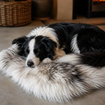 Schafsfell für Hunde oder Katzen