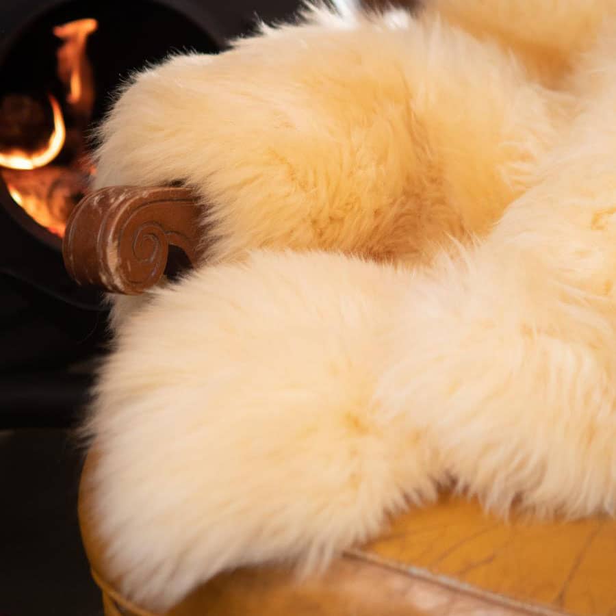 Medicated sheepskin with long wool - Texel