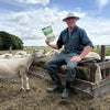 wandelwol texelse boer