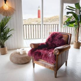 Texel sheepskin - Wine red - dark red sheepskin - sheepskin chair