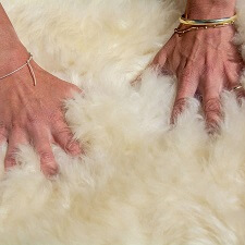 Sheep skins from Texel